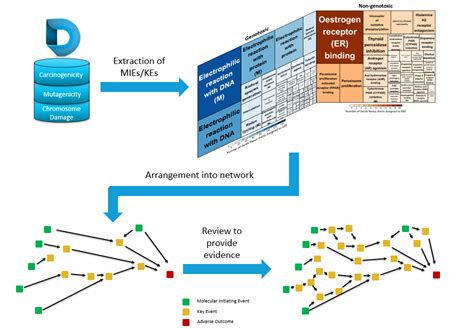 Master MATLAB Coding: A Guide to Safe and Efficient Software Downloads